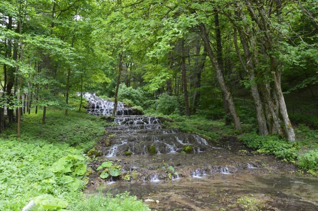 A Fátyol-vízesés mésztufa lépcsői a szilvásváradi Szalajka-völgyben